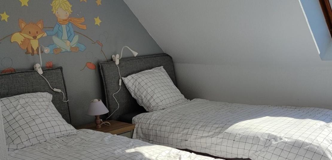 Apartament Le Strasbourgeois Illkirch-Graffenstaden Zewnętrze zdjęcie