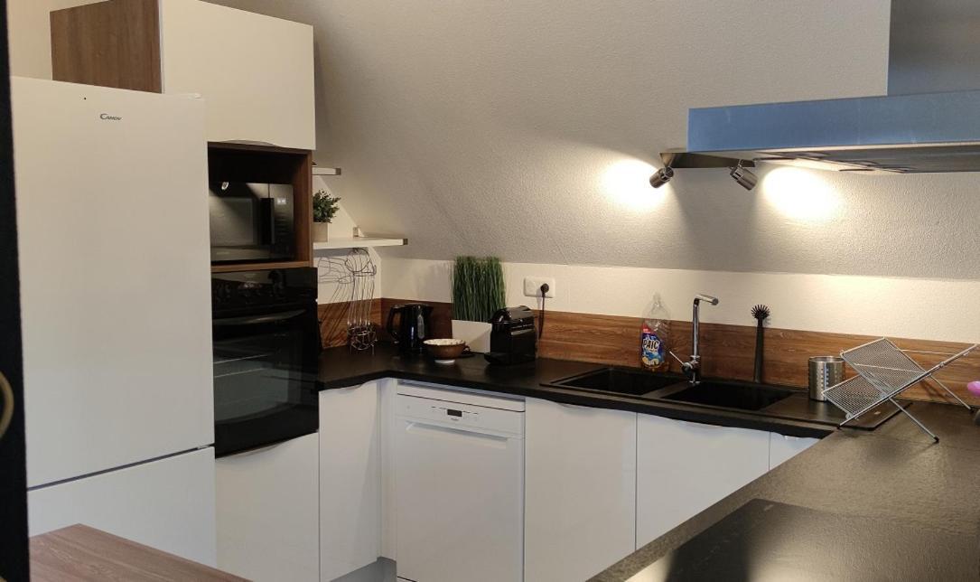 Apartament Le Strasbourgeois Illkirch-Graffenstaden Zewnętrze zdjęcie
