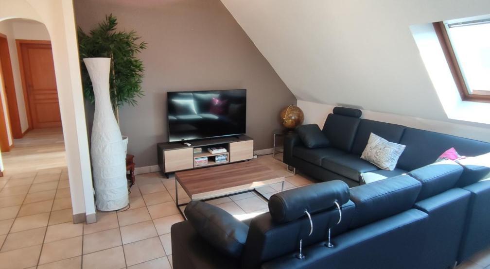 Apartament Le Strasbourgeois Illkirch-Graffenstaden Zewnętrze zdjęcie