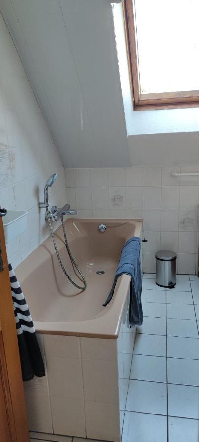 Apartament Le Strasbourgeois Illkirch-Graffenstaden Zewnętrze zdjęcie